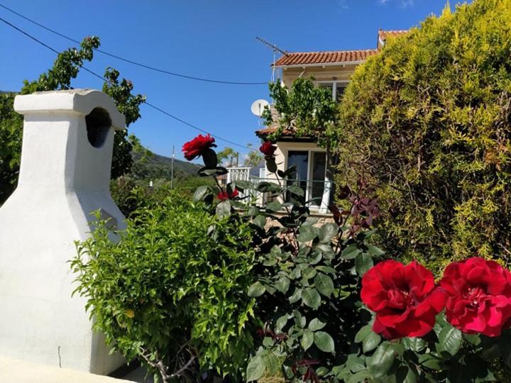 Queen Bay Appartement